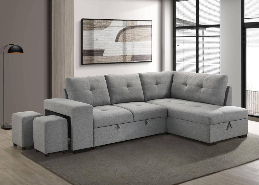 Roanne Sleeper Sectional