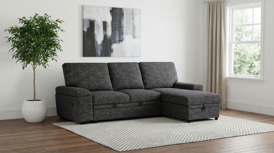 Demko Sleeper Sectional
