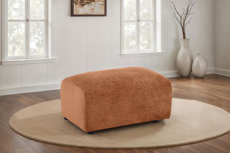 Burnett Livingroom Set