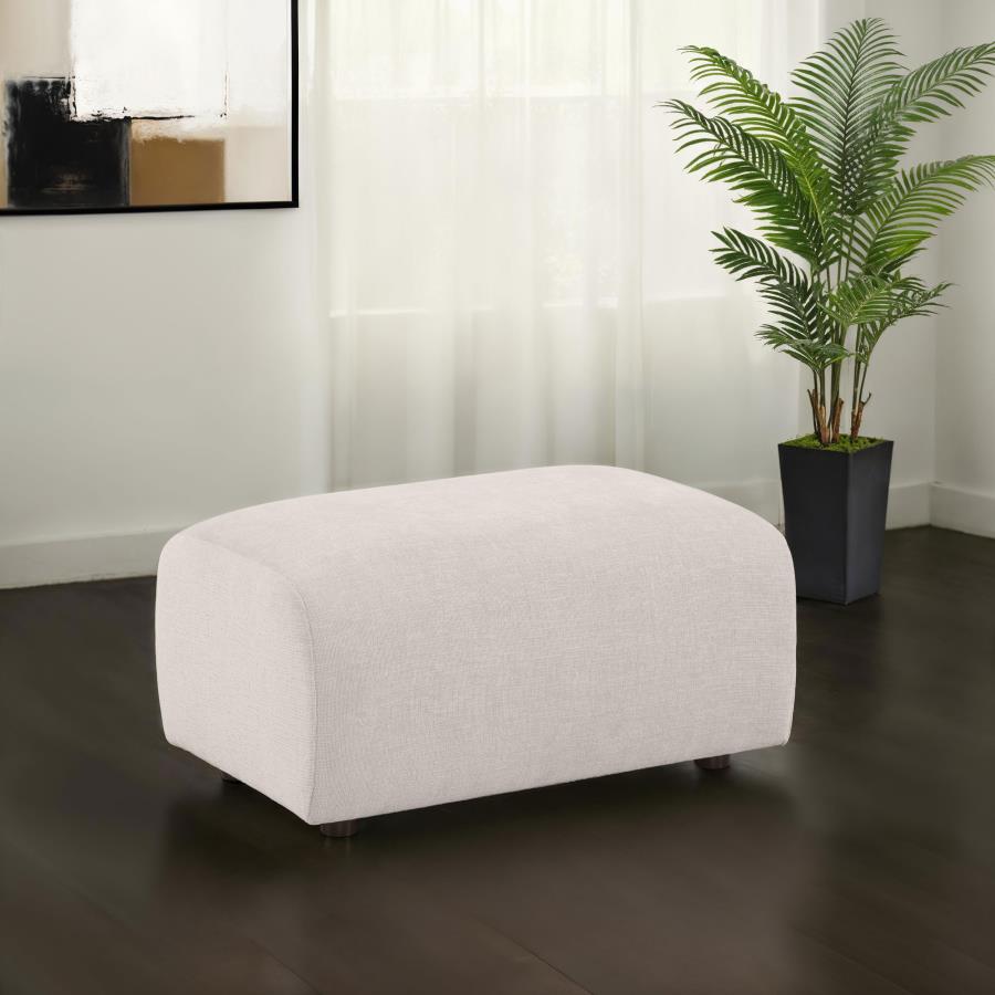 Burnett Livingroom Set