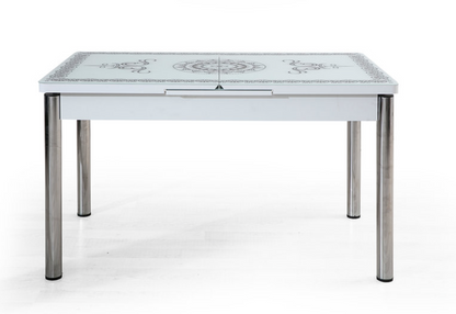 Glass Design Dining Table